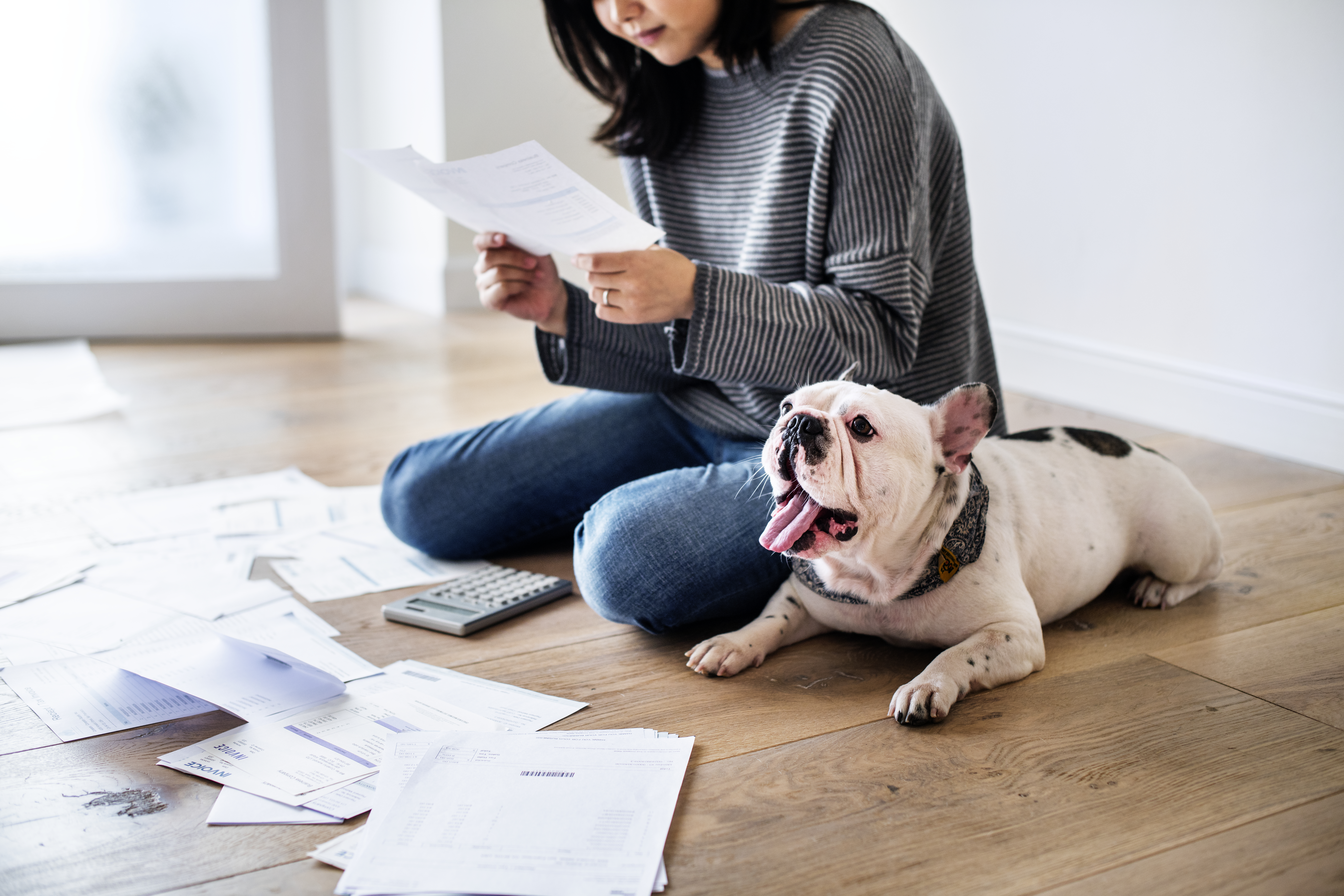 Woman looking over debt statements wondering how debt settlement works next to her bulldog puppy